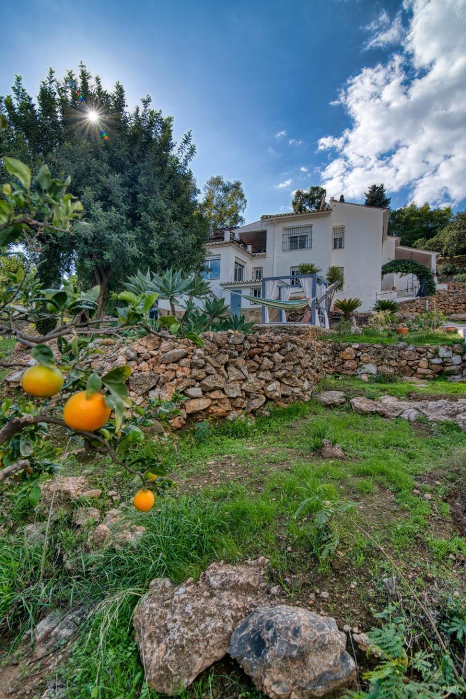 Villa Morera Bed & Breakfast Frigiliana Exterior foto